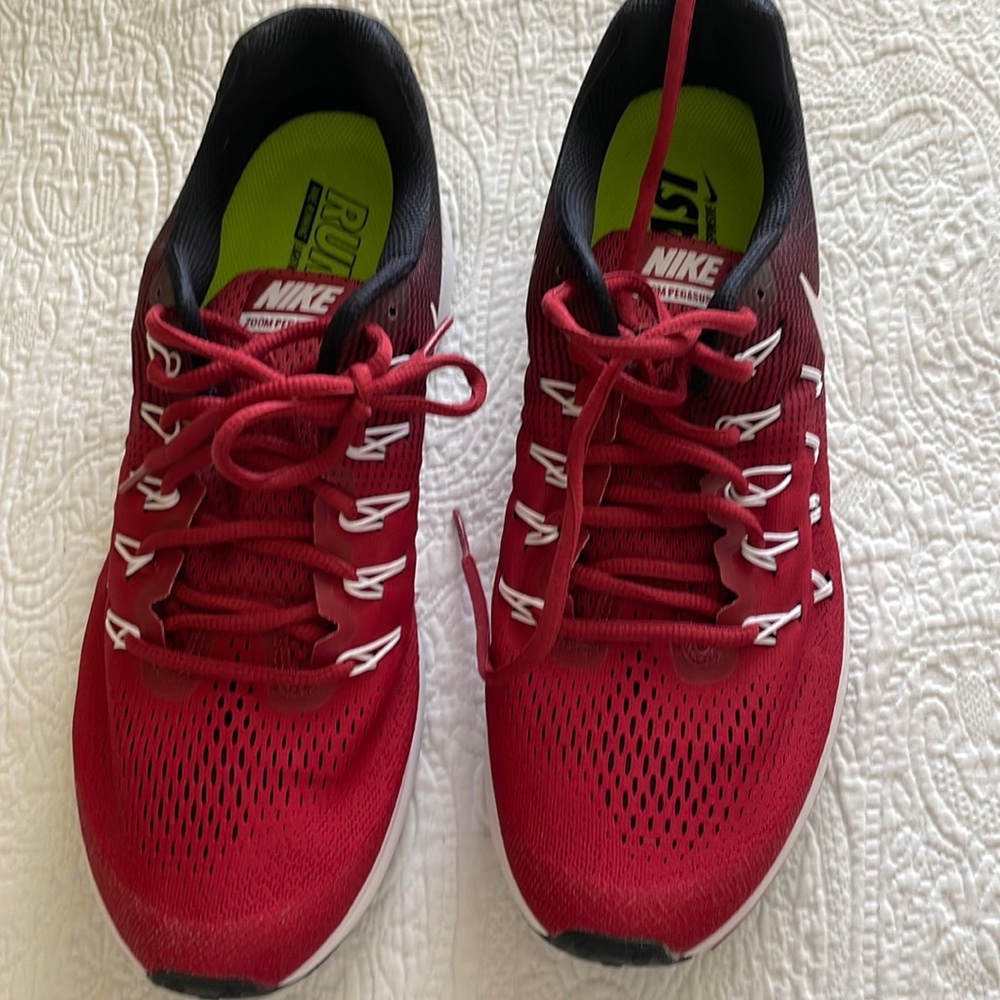 Mens Nike Zoom  Pegasus 10.5